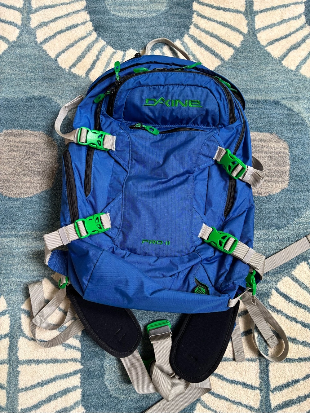 Dakine Pro II Backpack